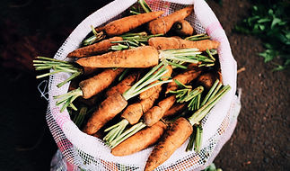 Organic Carrots