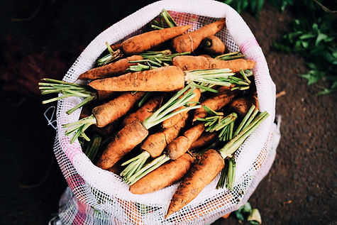 Organic Carrots