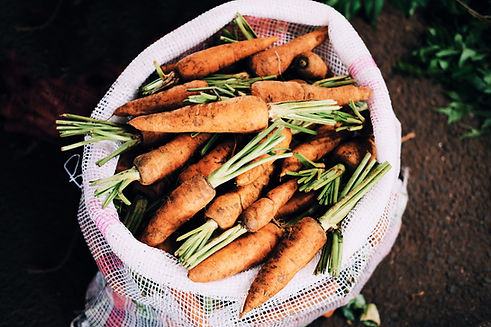 Bag Of Fresh Carrots
