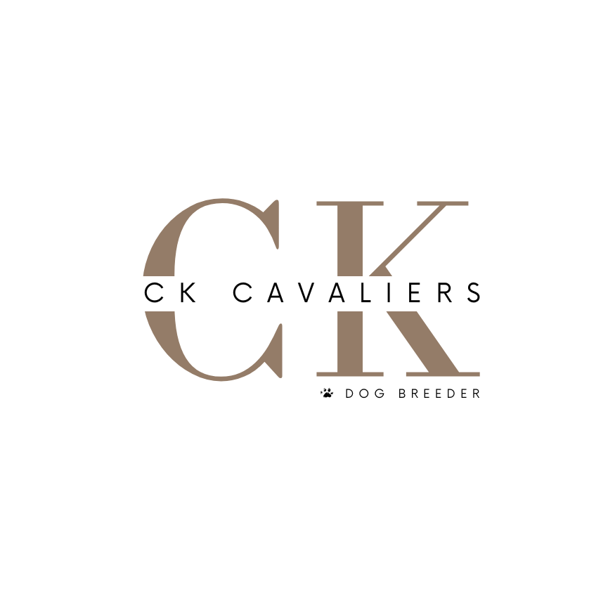 CK Cavaliers LLC logo