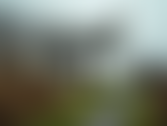 white cottage in misty atmosphere