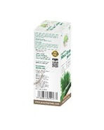 Thumbnail: Aryan Aloe Vera Wheat Grass Juice - 1000ml