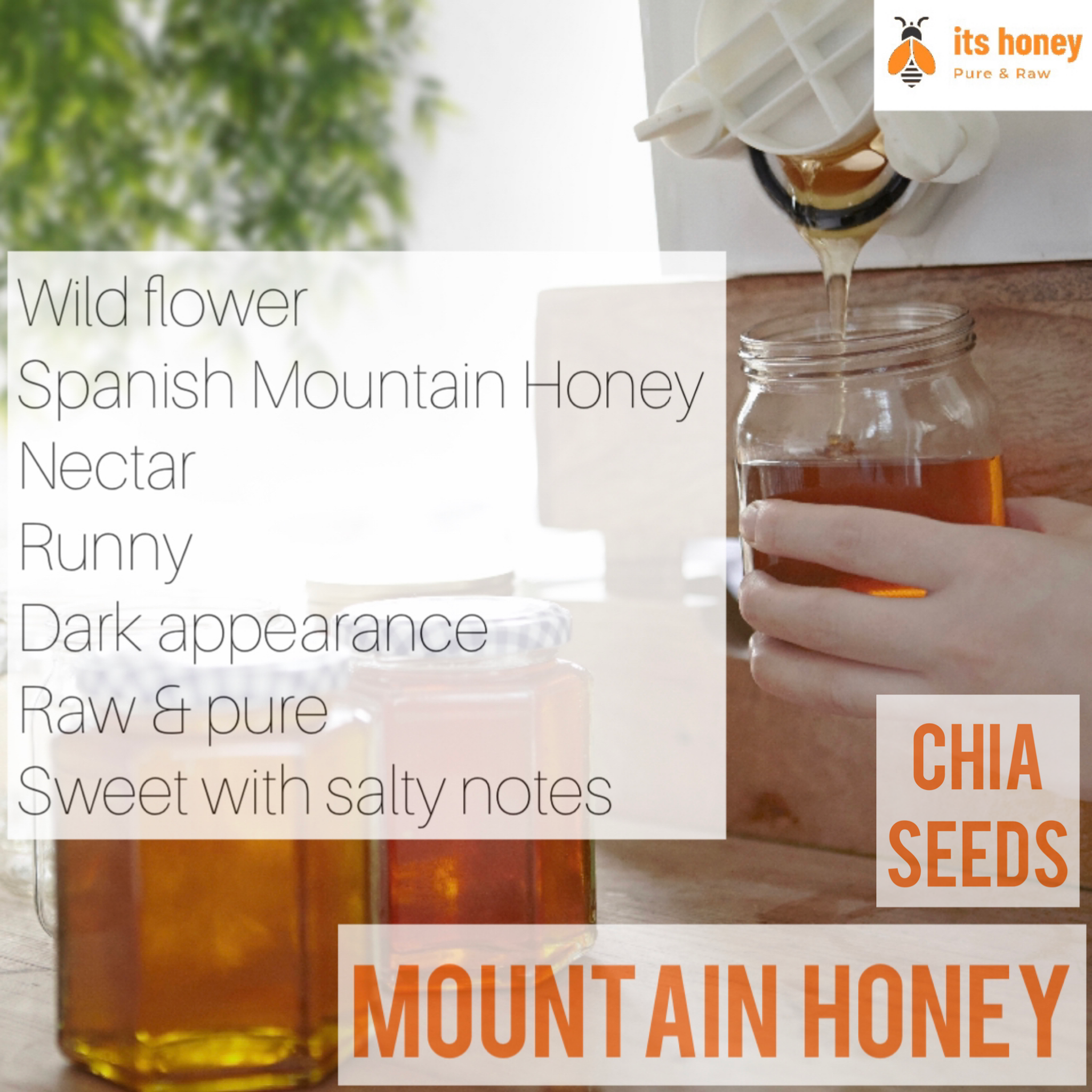 Mountain Raw Honey Wild Flower with Organic Chia Seeds