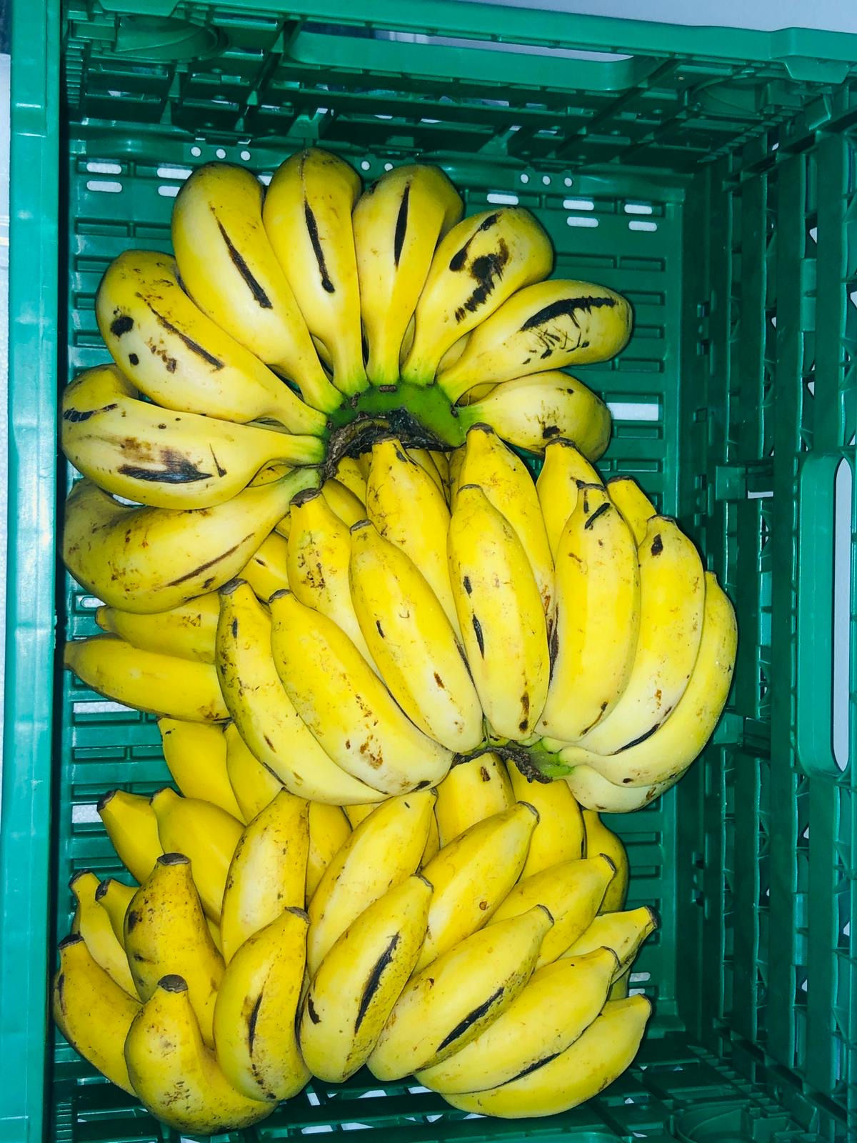 Sweet bananas