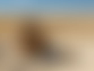 The Well at Emmanuel: A space for encounter and restoration