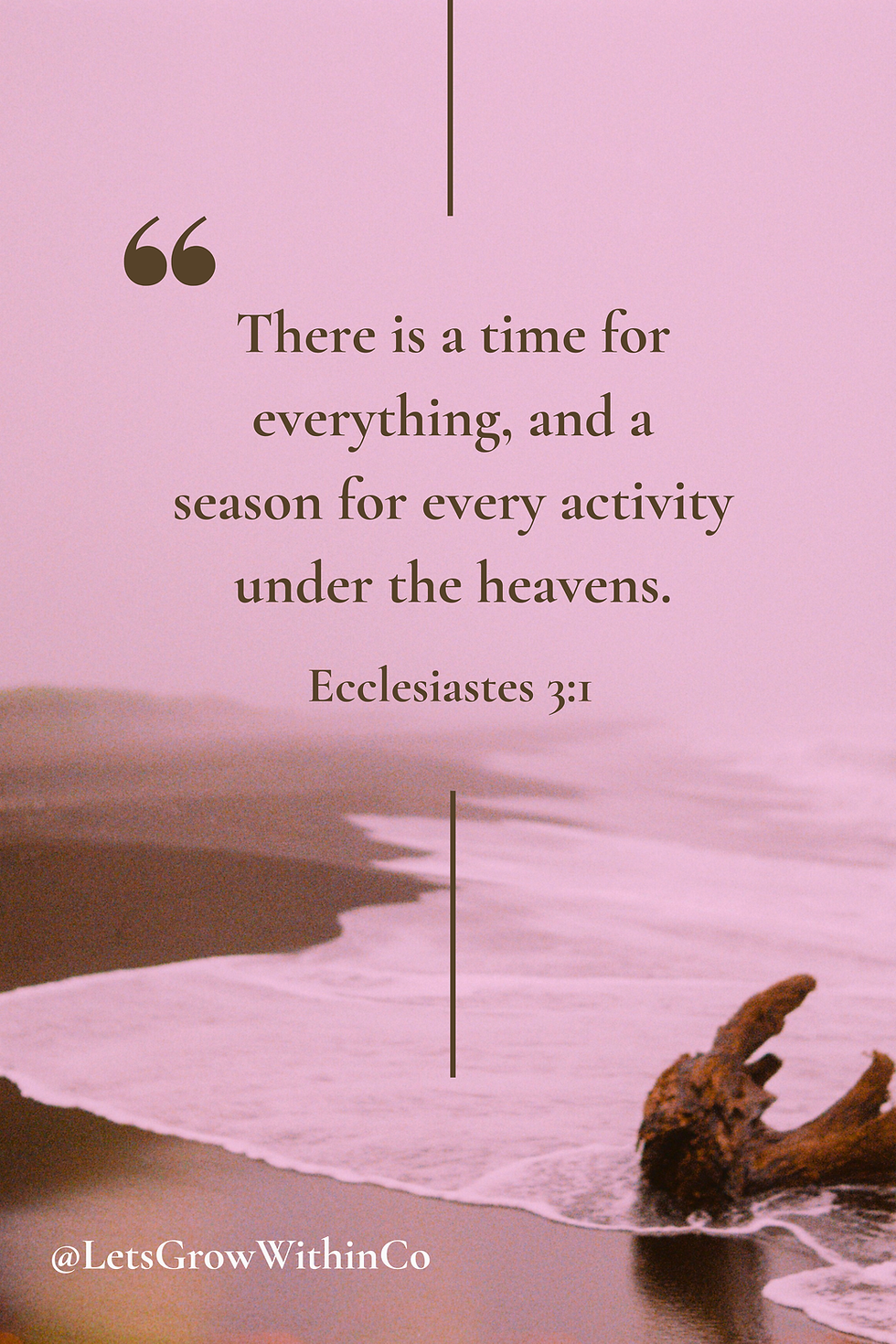 “There is a time for everything, and a season for every activity under the heavens.”
Ecclesiastes 3:1