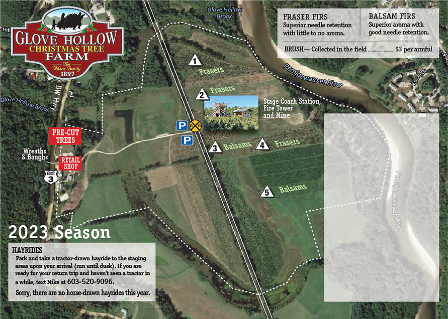 Glove Hollow Cut Your Own Christmas Tree Central NH