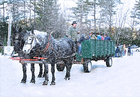 Cut Your Own Christmas Tree Central NH