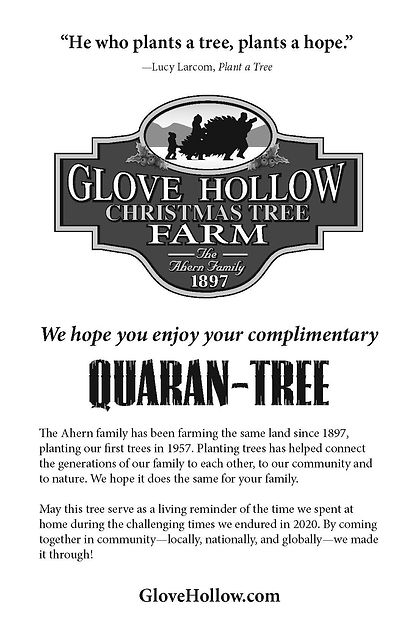 GloveHollow_Quaran-Tree_BkltCvr.jpg