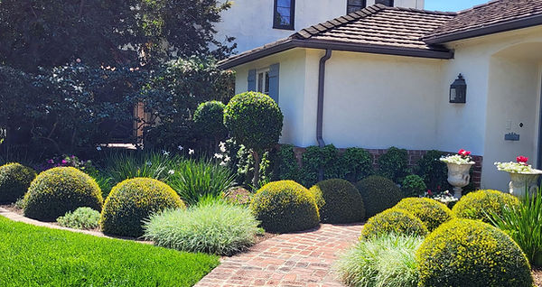 Best Lawn Care in Southern California.jpg