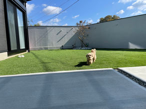 人工芝が映える中庭外構