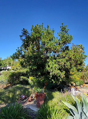 7185454788400223240 (1).jpg
