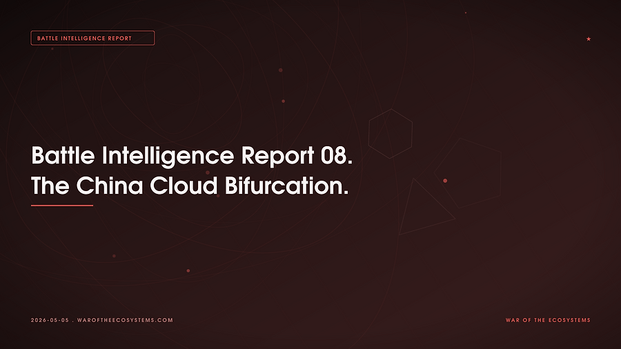 Battle Intelligence Report 08 The China Cloud Bifurcation