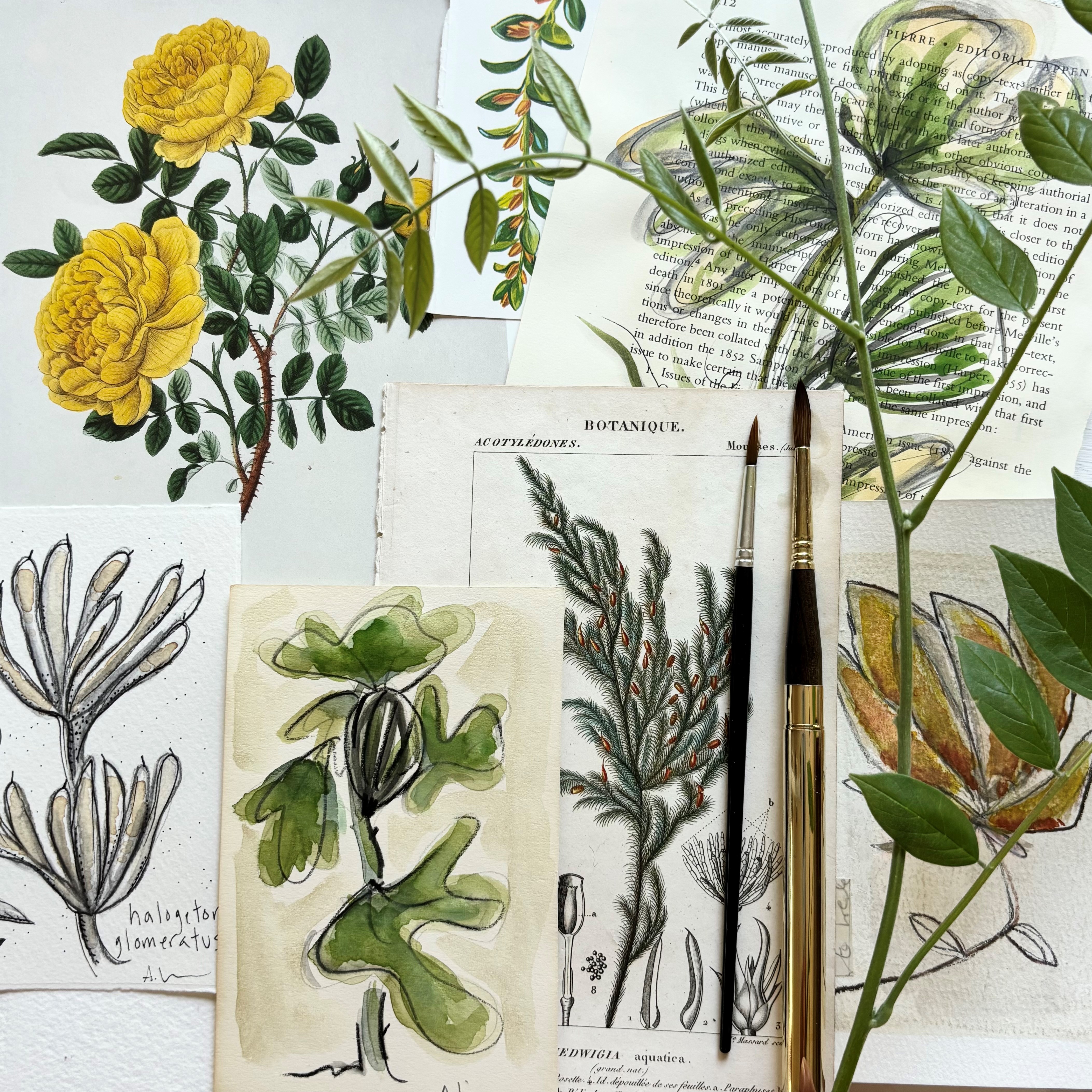 Creating Botanical Watercolors Workshop with Aline Lindemann