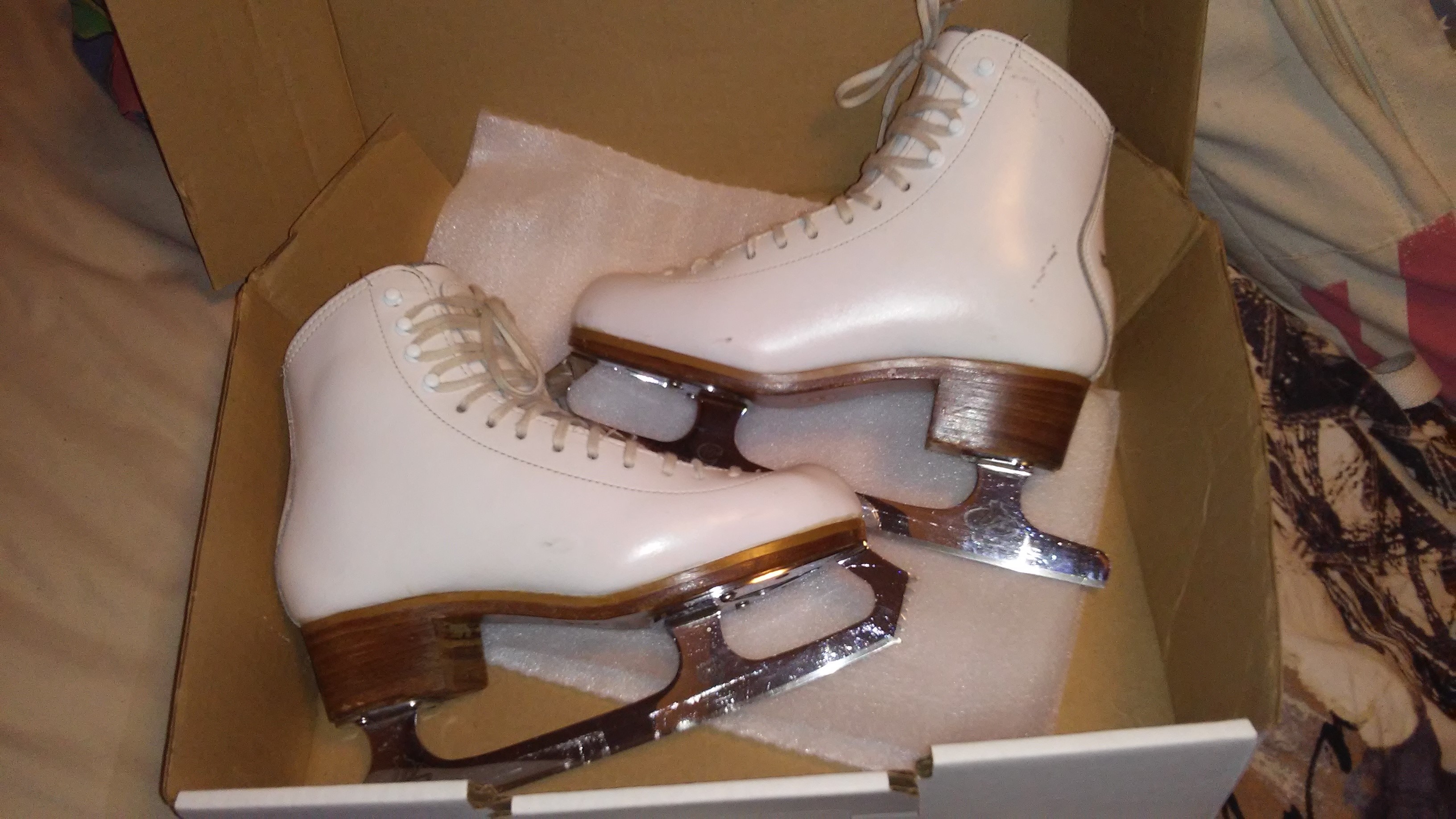 Skates - Gam 0095
