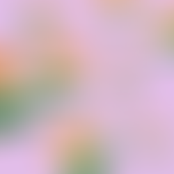 The “It will do” attitude: Indian consumerism from a teen’s perspective 