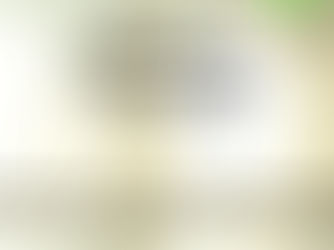 Socially Responsible Investing 