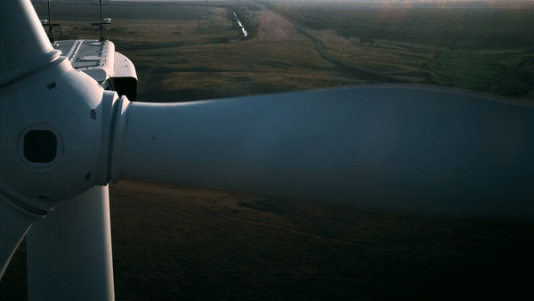 Evergreen_1380_NLA_Team_Approved_14092020_EDIT_065_LMFE_Clearblue_GRADED_MIXED_14.gif