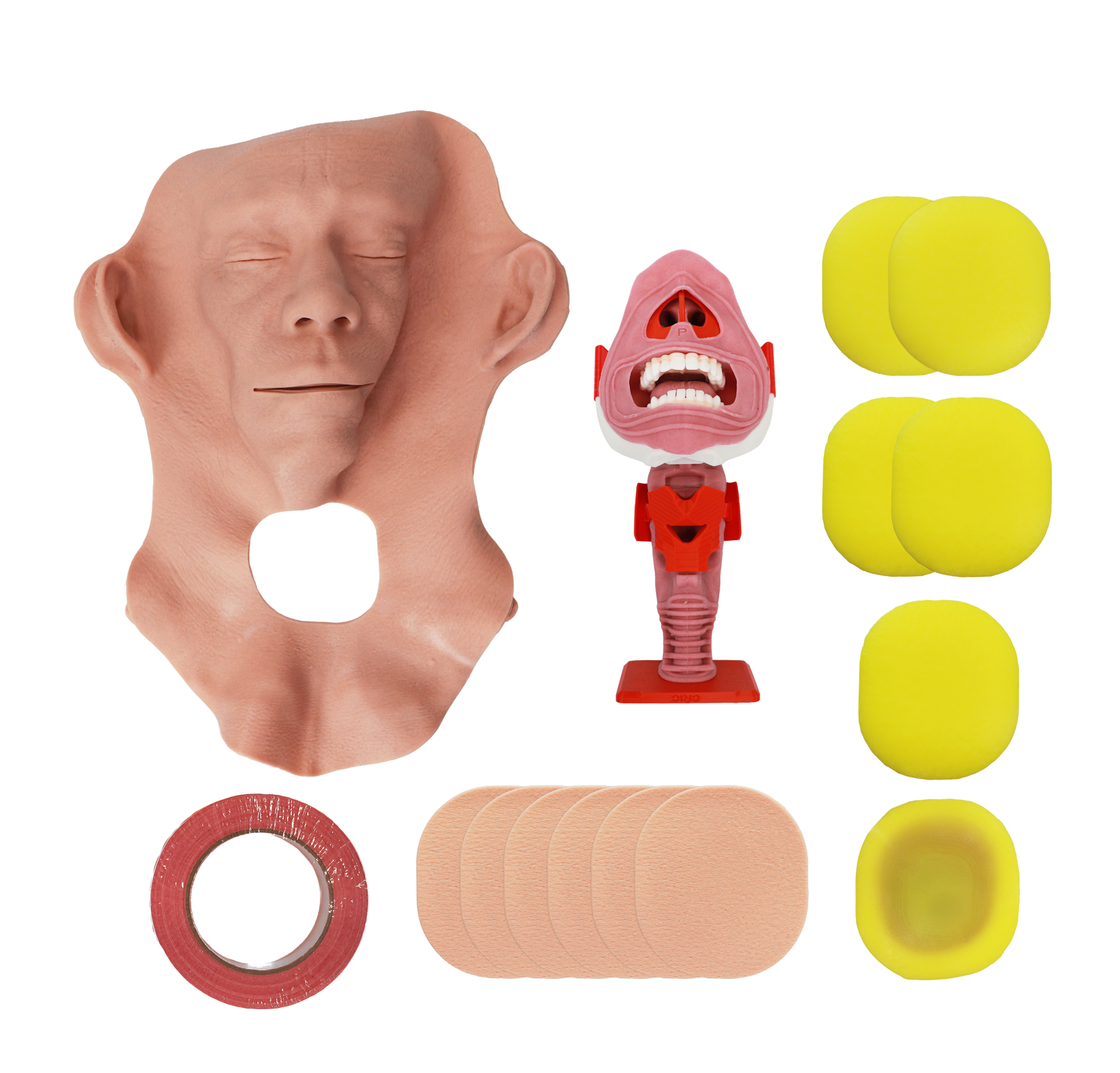 V2 Cricothyroidotomy Module