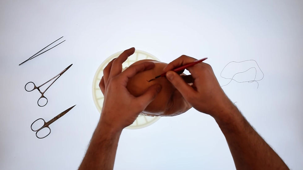 Thumbnail: Facial laceration suturing trainer