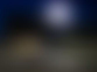 Zane Smith Heads to Mid-Ohio Sports Car Course as Points Leader