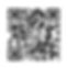 WhatsApp Image 2024-12-06 at 20.38.25.jpeg