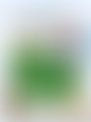 🎨 Tamio Wakayama: Enemy Alien – Art Gallery Outing on October 22 🎨