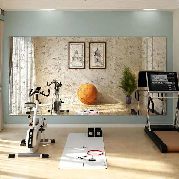 Gym-MIrror-Options-Pic-02-jpg.webp