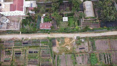 DJI_0925.jpeg