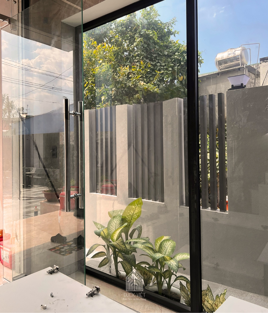 Đại Phú Gia được trồng trước sân vườn.