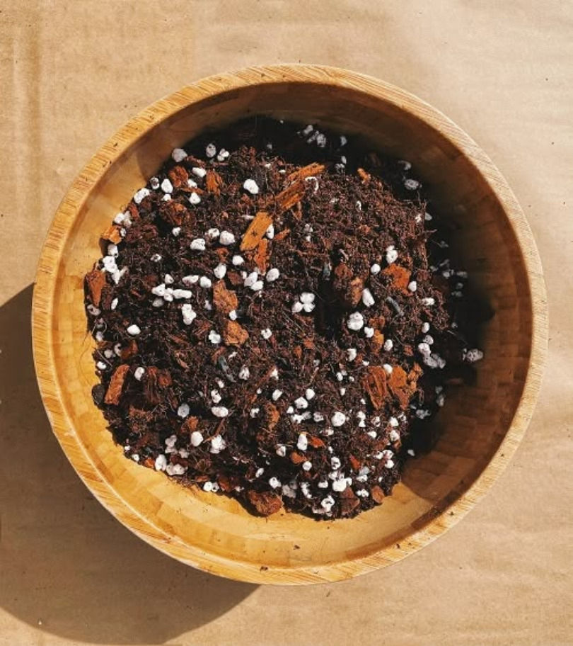 Đất trồng giàu hữu cơ, giúp rễ phát triển khỏe mạnh. Nguồn: Sưu tầm.