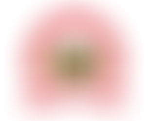 Best IAS Academy in Delhi for Beginners: Your First Step Toward UPSC Success!