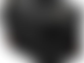 RED's New V-RAPTOR Unleashes An 8K Vision at Ferocious Speed