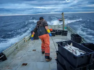 Sustaining the Sacred: 'Sacred Waters 'Documents the Sault Tribe’s Fight to Restore Great Lakes Whitefish