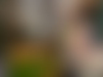 Bipartisan Bill Seeks Permanent Tribal Control Over Critical Food Assistance Program