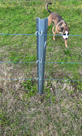 IMG_0021.jpeg. OK a OKAB OKWB OKVB.jpeg