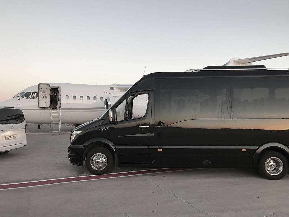 VIP BUS