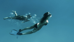 VSM2026 (1).pdf-image-088