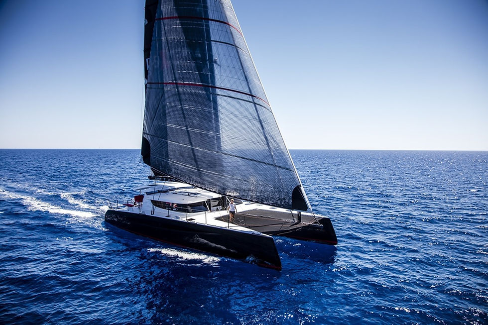 large_3121590.jpg