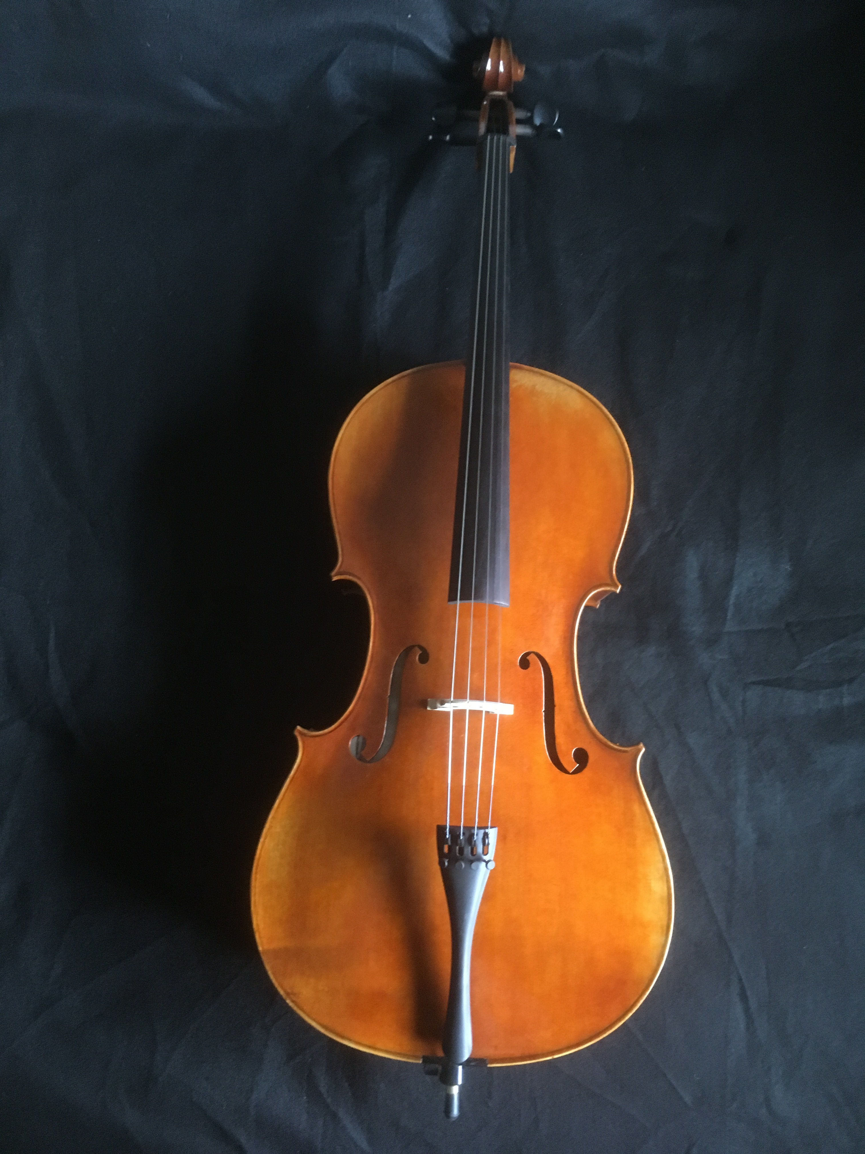 Bella Voce Sonora DX120