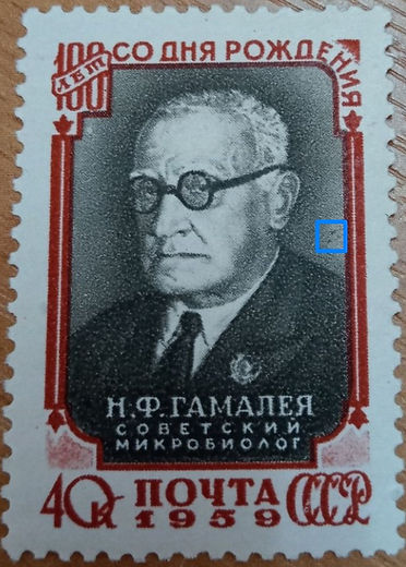 Variety of N. F. Gamaleya, microbiologist