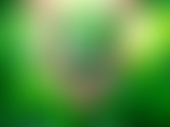 Il Messaggio per la Giornata del Creato