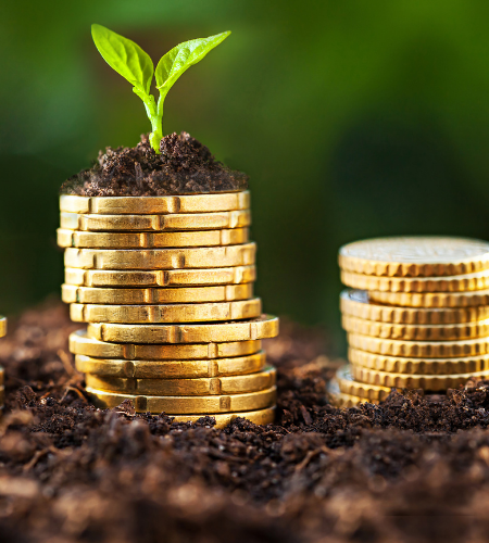 Dinner & Dialogue with PACFA - Impact Investing