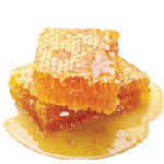 honey-01.jpg
