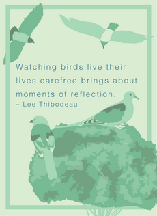 Birds