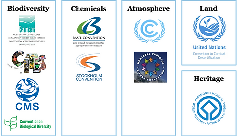 ECI(1).png