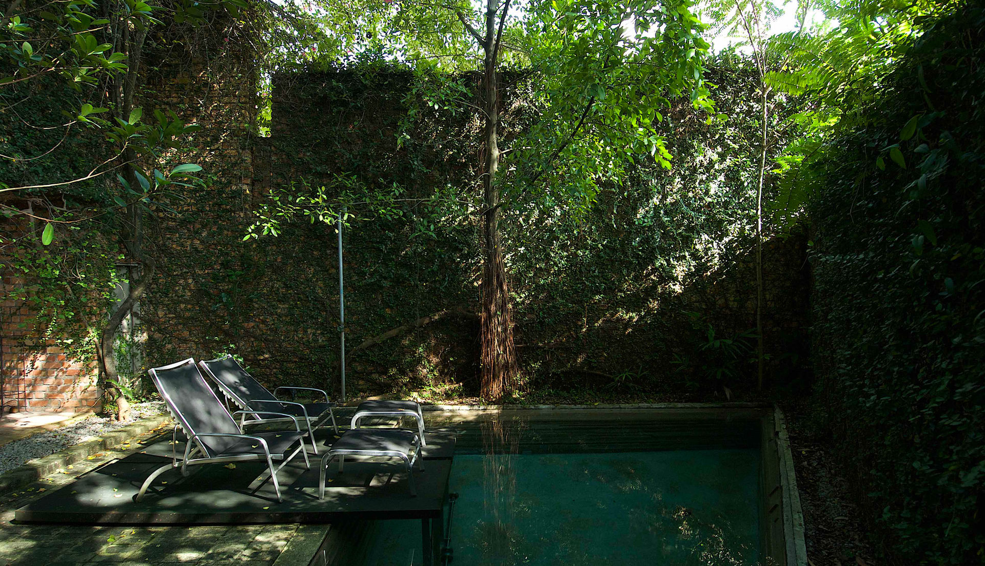 motning pool.jpg