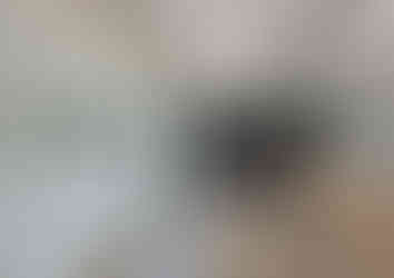 1640269749863-7