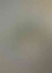 KakaoTalk_20251204_215148152