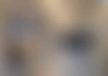 1650249225235-2